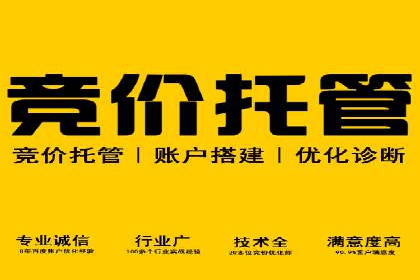 百度广告竞价与SEO结合的案例：某企业双管齐下的营销策略